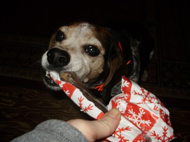 [Dec2009 070[2].jpg]