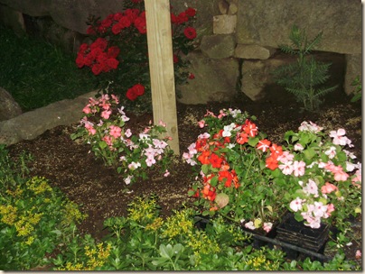June2010 042