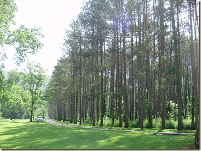 June2010 089