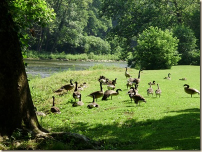 June2010 083