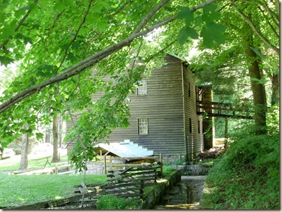 July2010 028