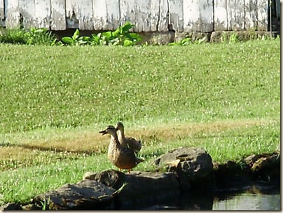 July2010 111