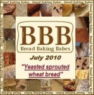 [BBB logo july 2010[2].jpg]