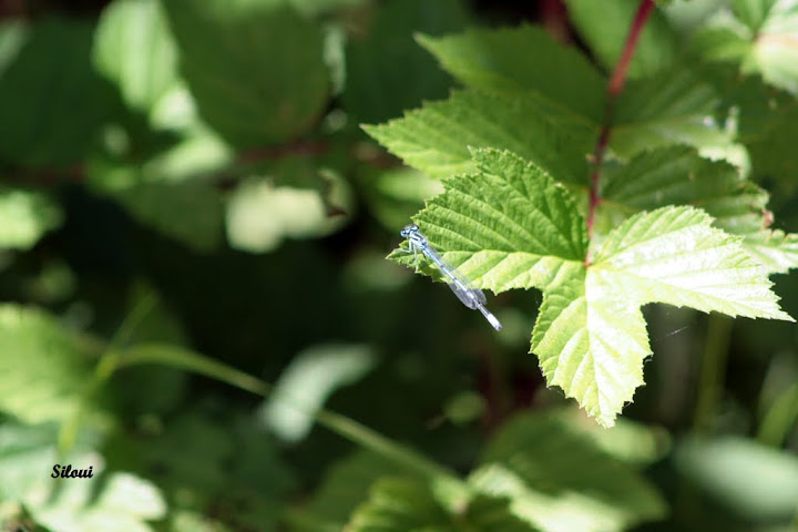 Photo%2020100304
