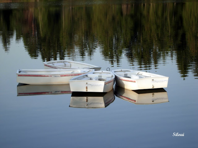 Photo%2020100337