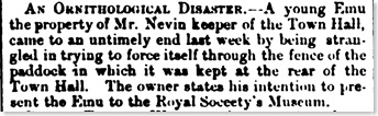 emutownhall22july1878