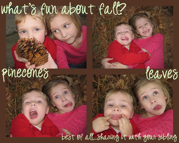 [PineCones-1[1].jpg]