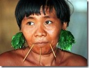 Yanomami - Amazonas -