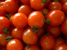 [cherry_tomato_sm[5].jpg]