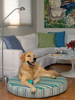 [cc0556_cachorro_00p[6].jpg]