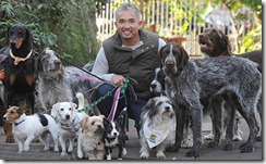 Encantador de Cães