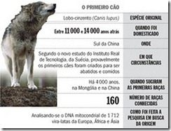 Evolução dos cães