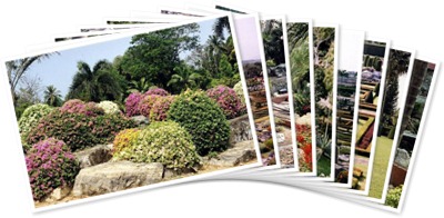 Просмотр альбома "Тропический сад Нонг Нуч. Таиланд Занесен в книгу рекордов Гинесса!!!"
