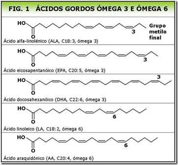 Bioquímica do colesterol, õmega 3, ômega 6 e gordura trans: Ômega-3 e Ômega- 6