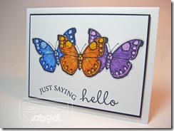 Just Saying Hello Butterflies