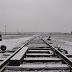 DSC_0173.jpg