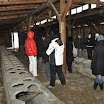 DSC_0179.jpg