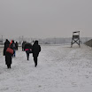 DSC_0183.jpg