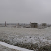 DSC_0184.jpg
