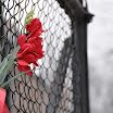 DSC_0024.jpg