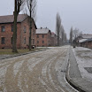 DSC_0026.jpg