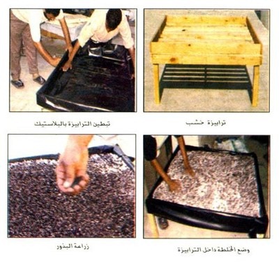 [large_1234178748[5].jpg]