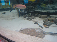 IMG_1488.JPG