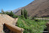 fundo-pisco-los-nichos.JPG