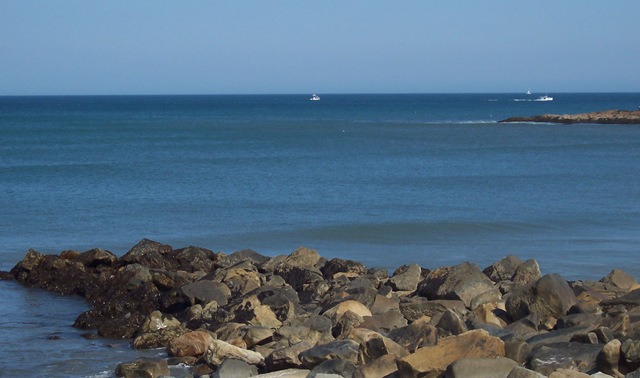 [Beach[8].jpg]