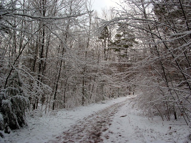 [Walk[3].jpg]