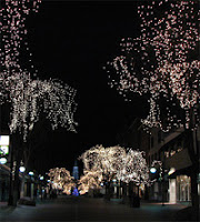 church-street-burlington-vt3.jpg