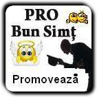 Pro Bun Simt