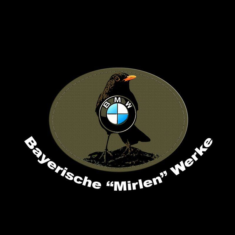 bmw-mirlo.jpg