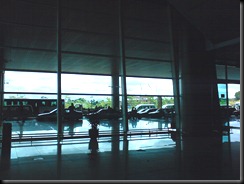 DSC02437