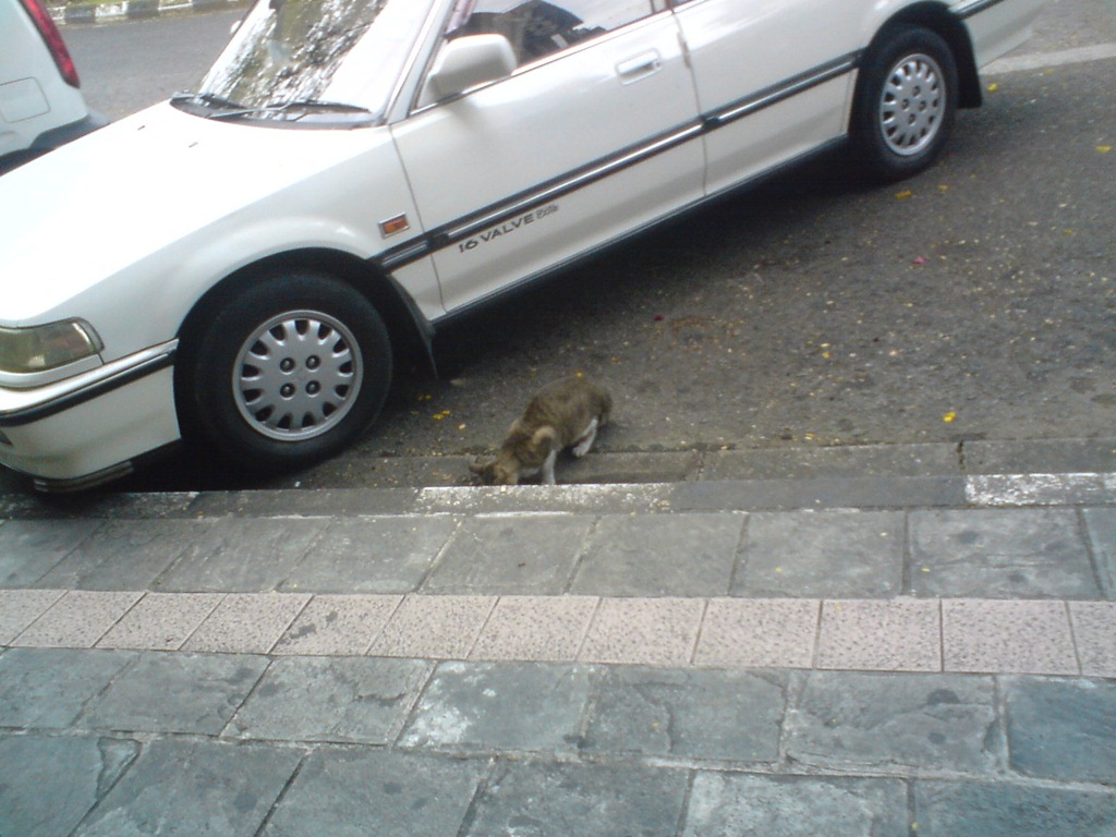 [DSC024703.jpg]