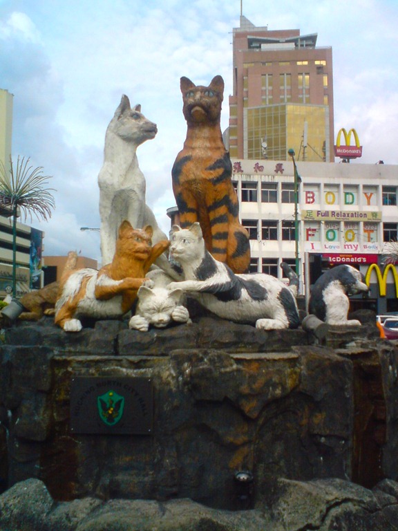 [DSC02458.jpg]