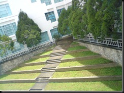 DSC03330