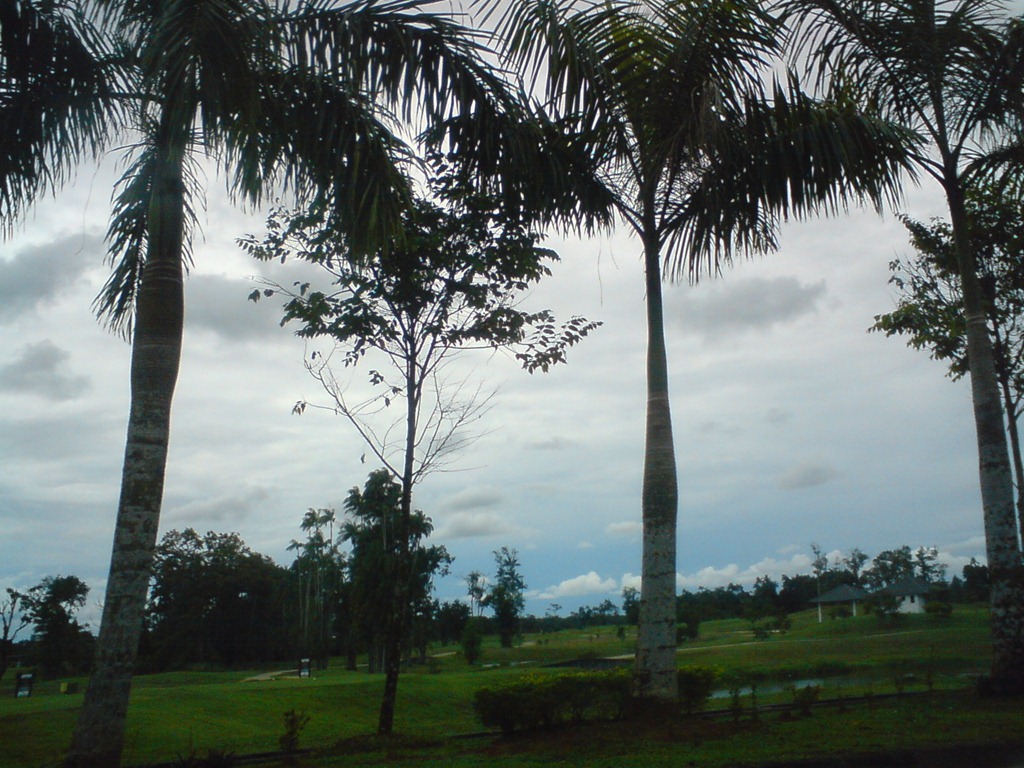 [DSC024523.jpg]