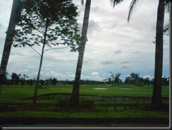 DSC02453