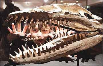 So you want to be a paleontologist, kid? Better start boning up! (Francois Mori/associated Press) So you want to be a paleontologist, kid? Better start boning up! (Francois Mori/associated Press)
