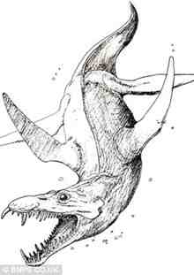 The Pleiosaur was a fearsome sea predator, more than four times the size of a T-rex. The Pleiosaur was a fearsome sea predator, more than four times the size of a T-rex.