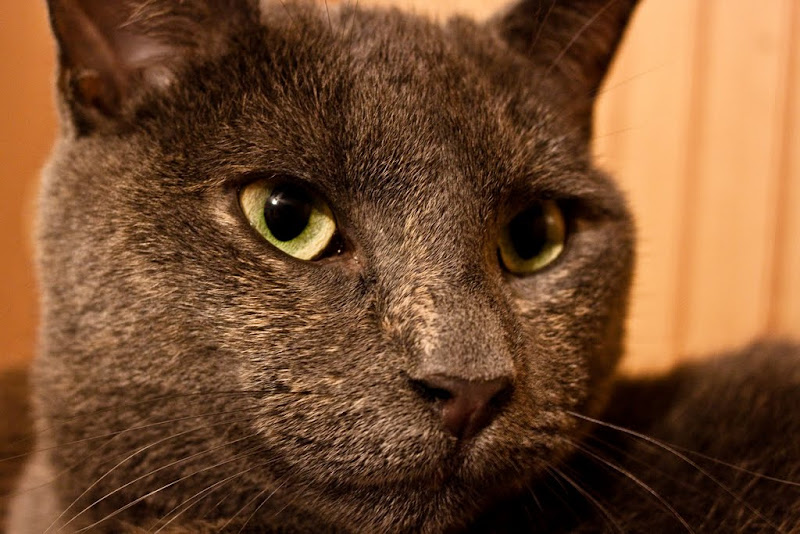 IMAGE: http://lh5.ggpht.com/_BfL0yCQSUnQ/S1UiLQ4aHzI/AAAAAAAAMDk/JR5X0rEjk_0/s800/IMG_0392.jpg