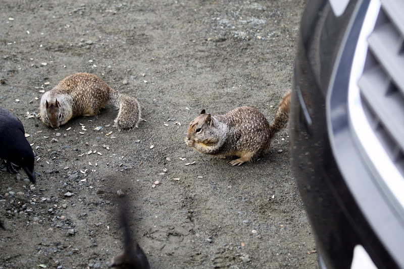 IMAGE: http://lh5.ggpht.com/_BfL0yCQSUnQ/SzgXx-8ZJrI/AAAAAAAAJyE/4G972cujM6k/s800/IMG_0325.JPG