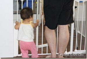 IMG_0364 IMG_0364