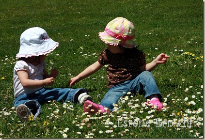 IMG_4812 IMG_4812