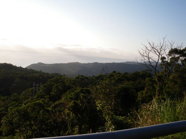 [IMGP0246_1.jpg]