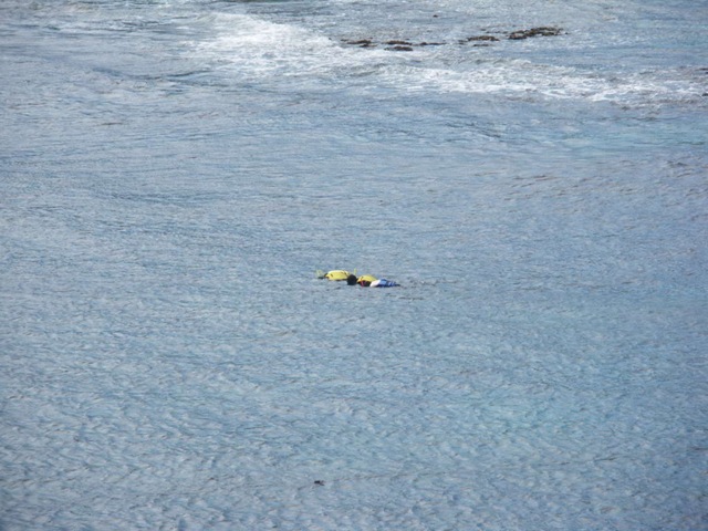 [IMGP0174_1.jpg]