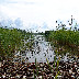 Aland DSC30755_910.jpg, Aland Islands, Aland - landscapes