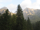 őszierdő