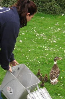 [IMG_2203_9_2[10].jpg]